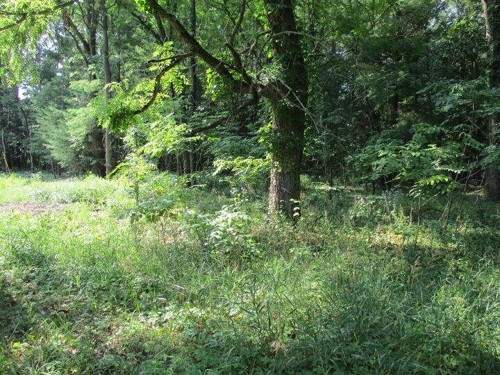 Property Photo:  105th Avenue  MI 49450 