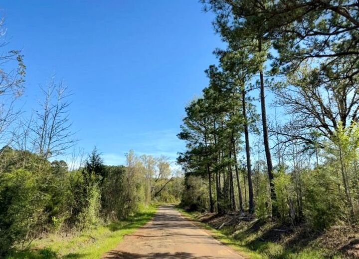 Property Photo:  Tbd County Road 1619  TX 75563 