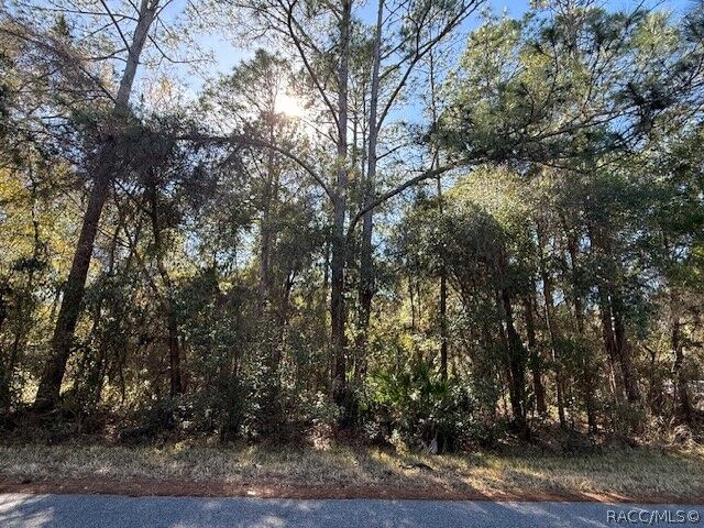 Property Photo:  4280 E Nugget Pass Place  FL 34434 