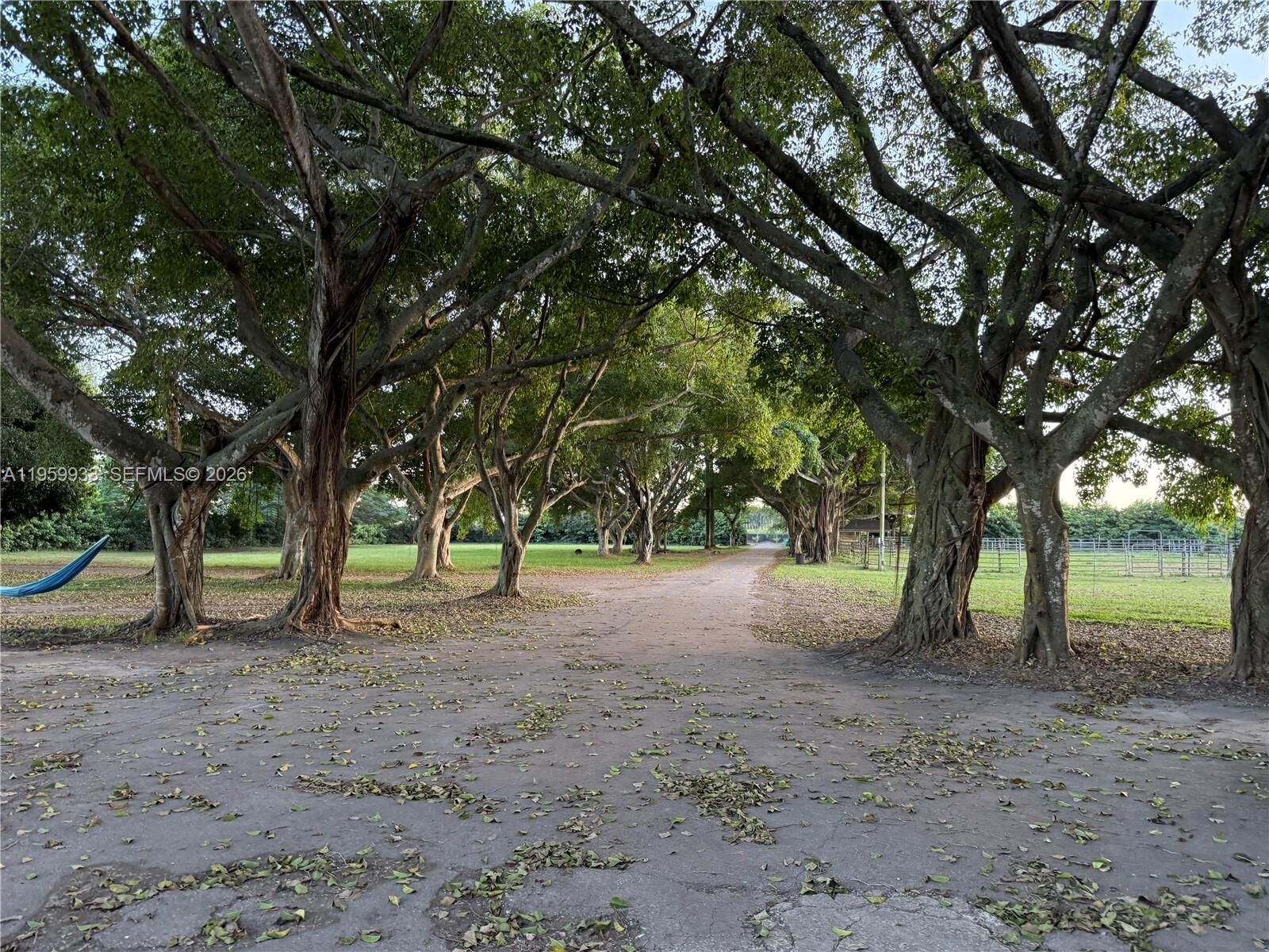 Property Photo: 19051 SW 136th St FL 33196