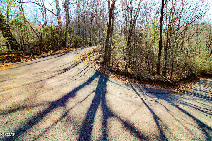Property Photo:  Lot 3 Ravens Den Way  TN 37862 