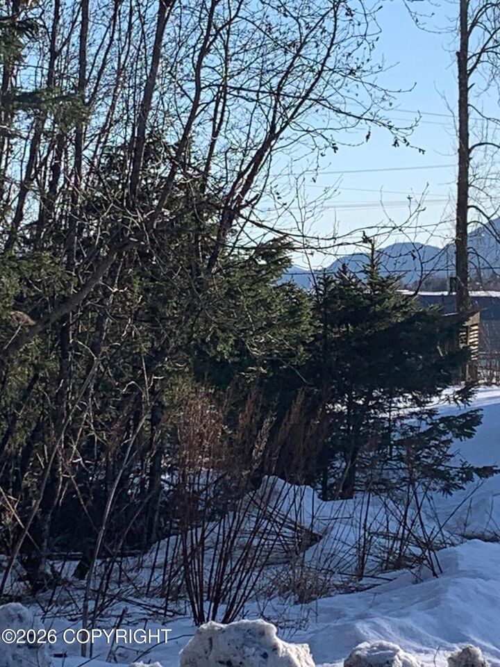 Property Photo:  1810 Parks Place  AK 99664 