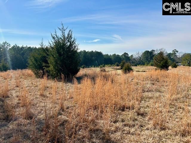 Property Photo:  159 Claude Counts  SC 29127 