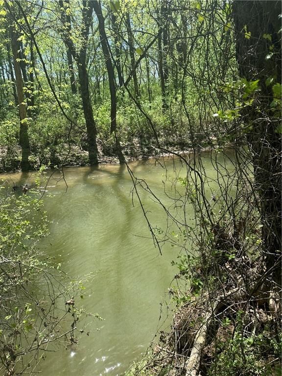 Property Photo:  0 N. 411 Hwy Highway  GA 30705 