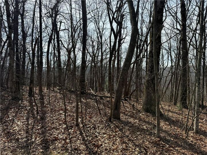 Property Photo:  00 Burnt Mountain Ridge Road  GA 30143 