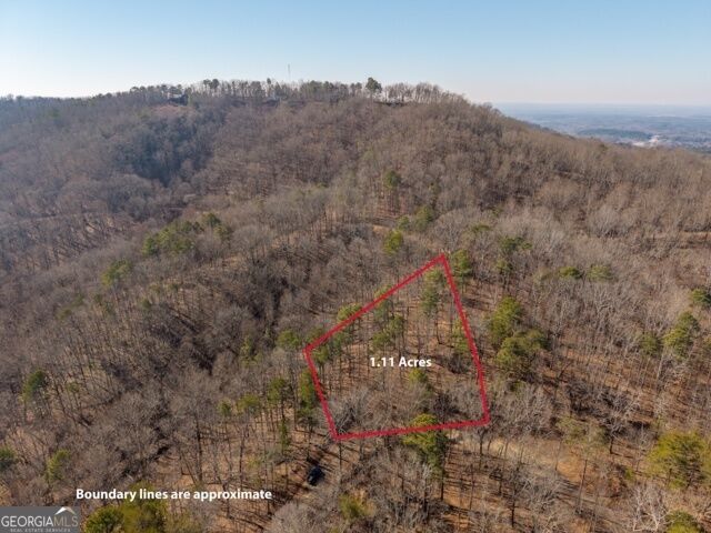 Property Photo:  1110 Mayfield Lane  GA 30734 