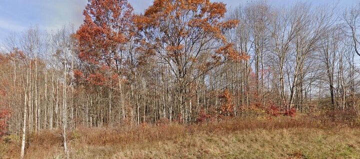 Property Photo:  Morris Branch Road  WV 25976 