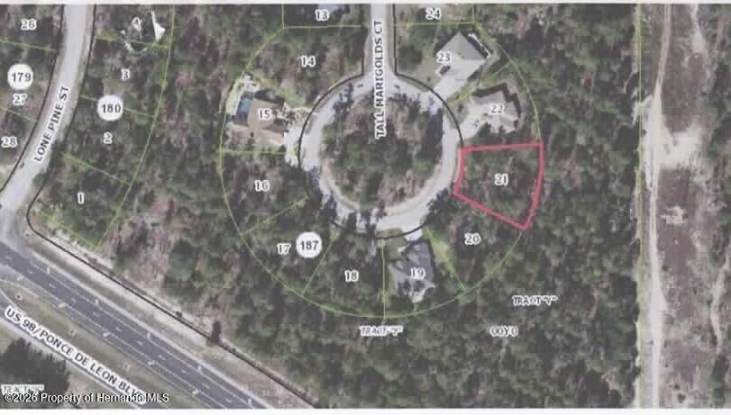 Property Photo:  34 Tall Marigolds Court  FL 34446 