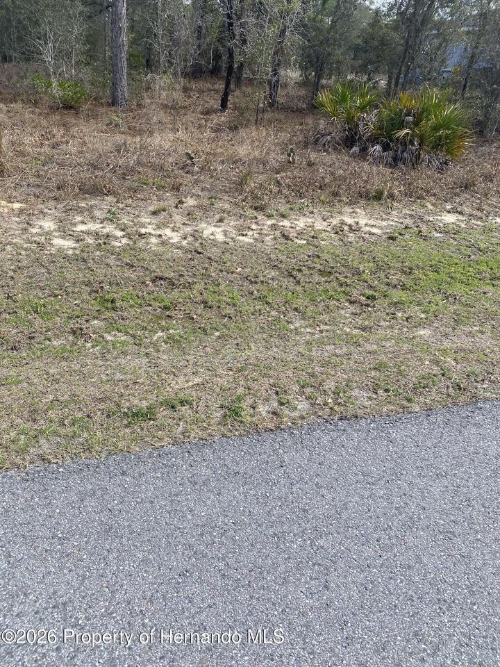 Property Photo:  000 Pomp Parkway  FL 34614 