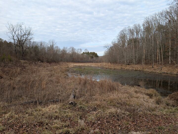 Property Photo:  0 7th Street  TN 37313 