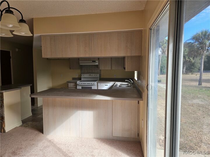 Property Photo:  7370 W 7 Rivers Drive  FL 34429 