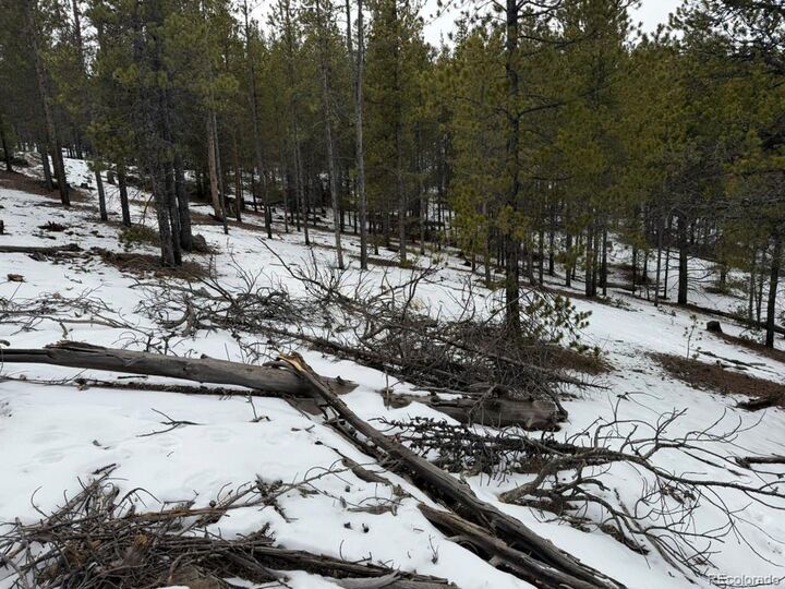 Property Photo:  124 Lodgepole Drive  CO 81251 