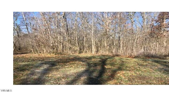 Property Photo: 25 Johnson Hollow Lane TN 37745