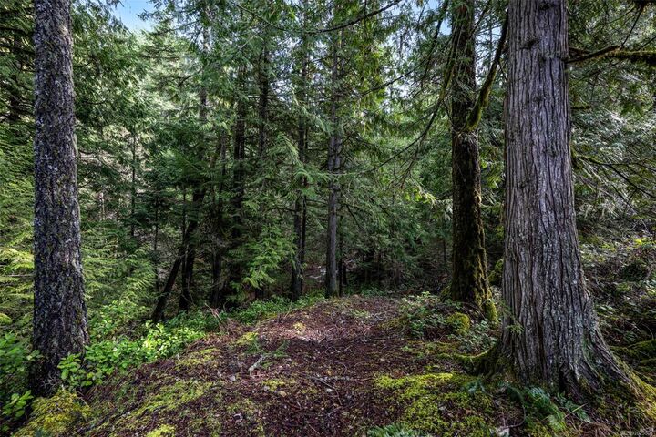Property Photo:  Lot 3 Whittaker Rd  BC V0R 2L0 