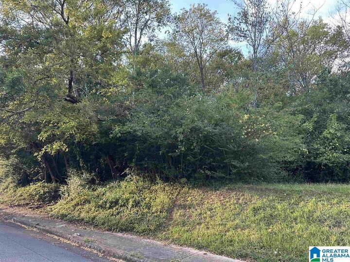 Property Photo:  612 Vann Street 1  AL 36265 