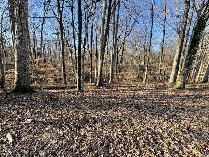 Property Photo:  6458 Beaver Drive  IN 46164 