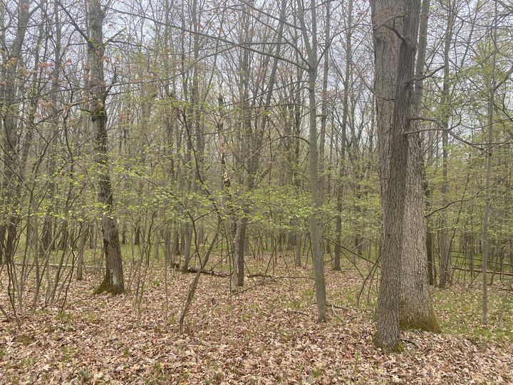 Property Photo: 12075 Halifax Drive MI 49346