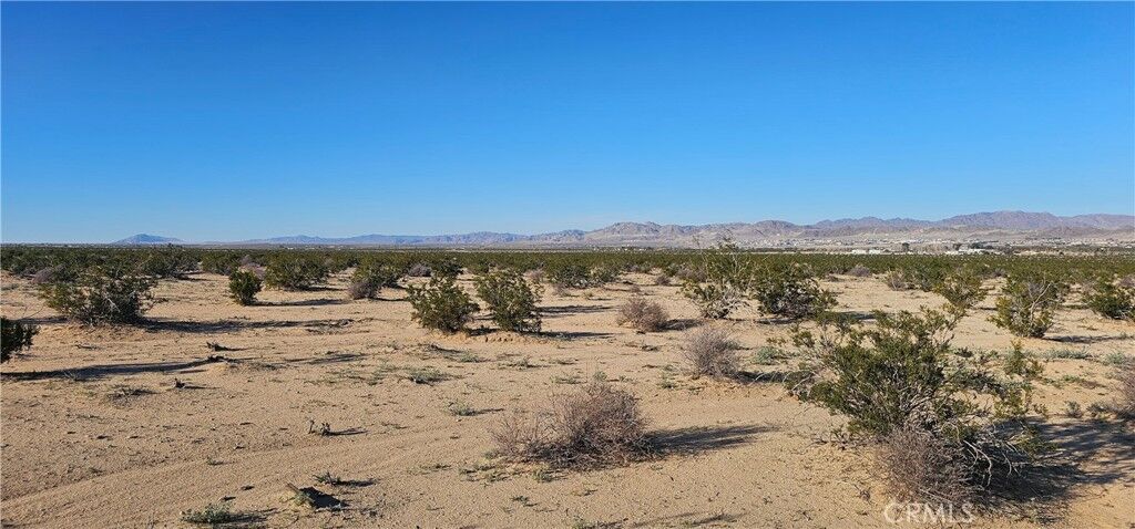 Property Photo: 0 Mesquite Springs CA 92277