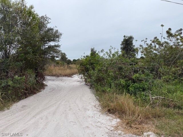 Property Photo:  64th Avenue NE  FL 34120 