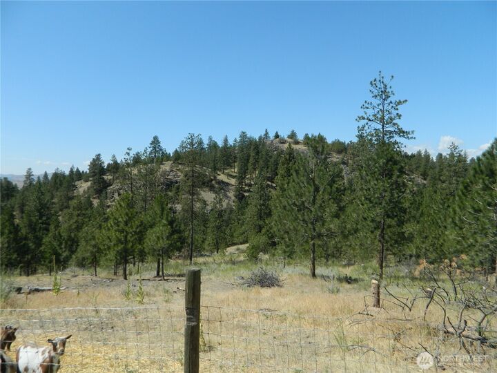 Property Photo:  198 B  Antwyne Lane  WA 98855 