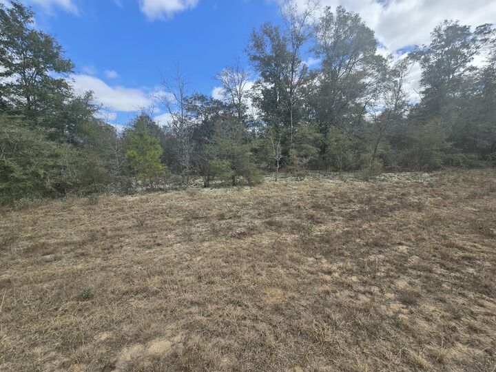 Property Photo: Tbd Hale Avenue FL 32428