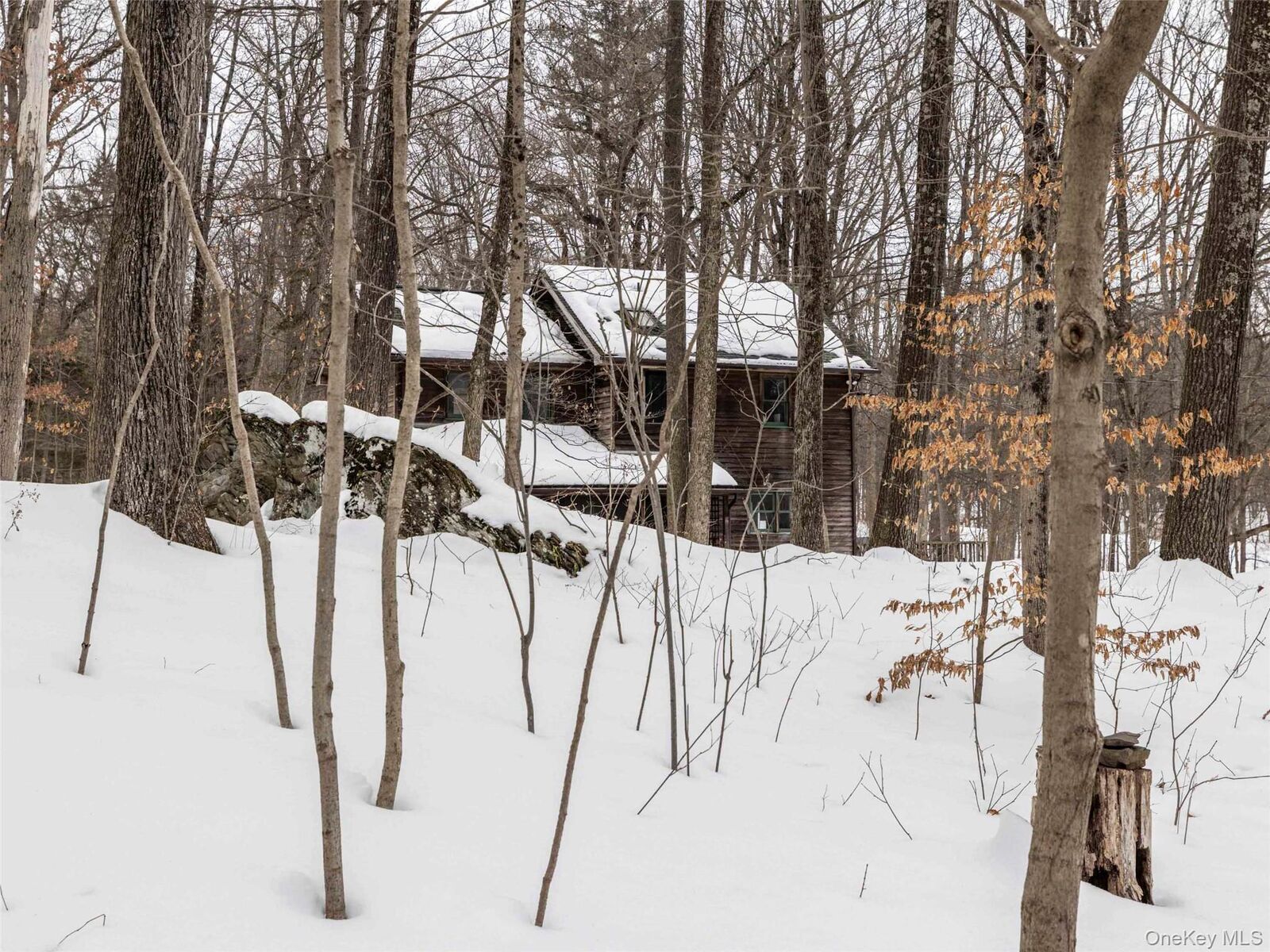 Property Photo:  74 Lemon Lane  NY 12572 