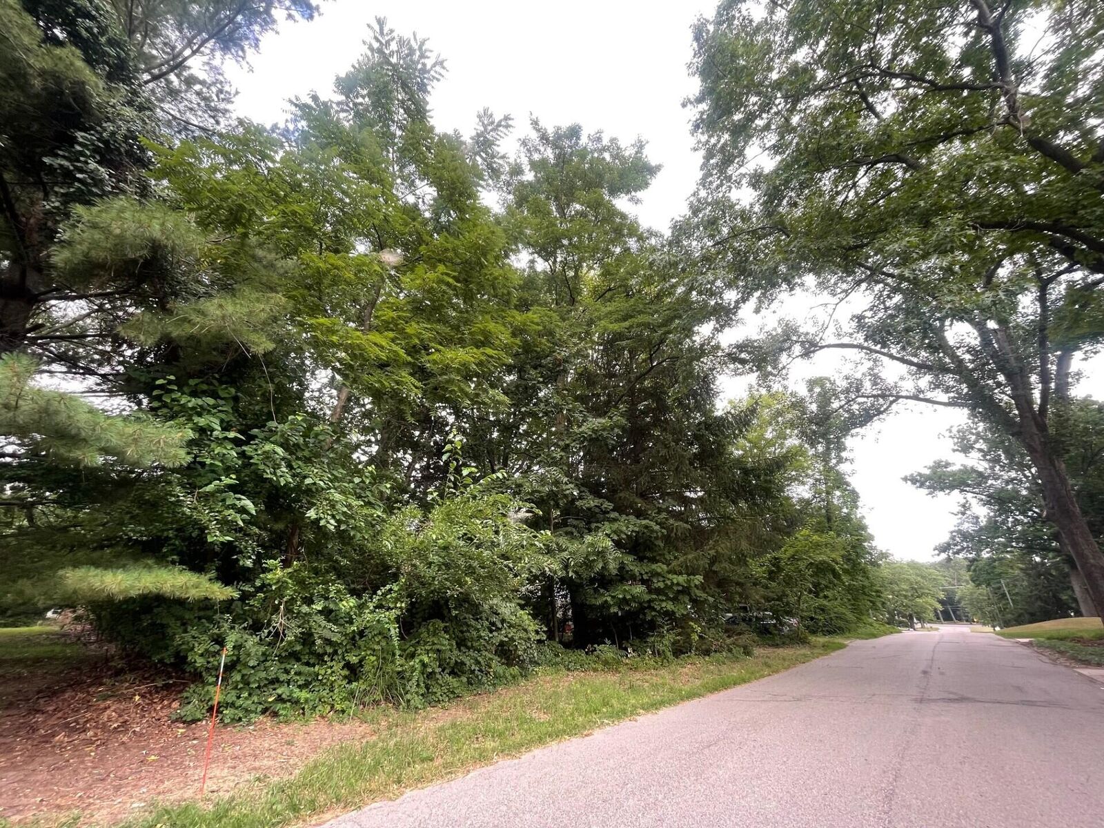 Property Photo: 114 S Bronson Street MI 49117