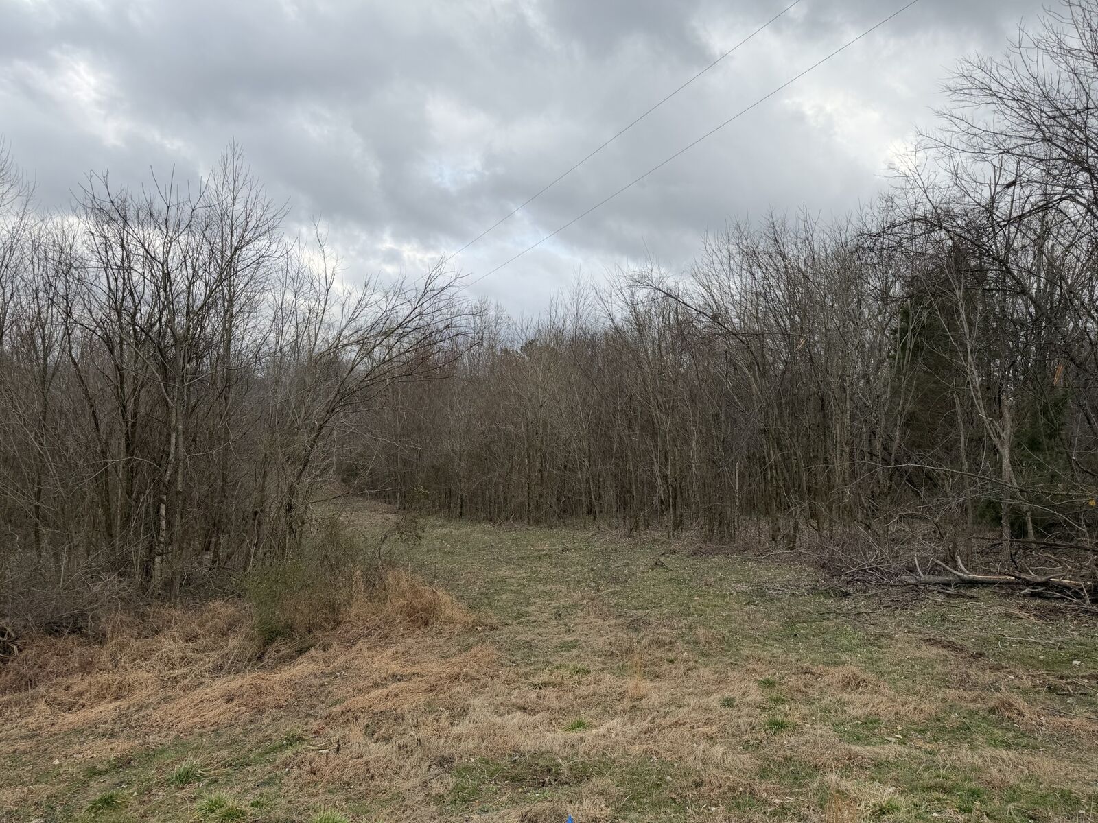 Property Photo:  0 City Park Rd  TN 37186 