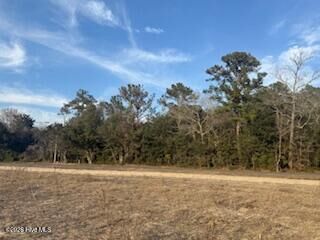 Property Photo:  Tbd Tbd Rough Horn Road  NC 28438 