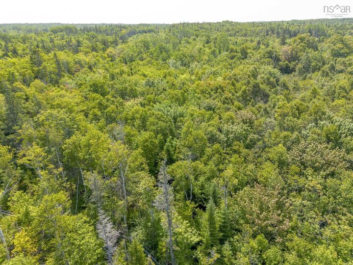Property Photo:  Lot 19 Pelton Mountain Road  NS B0P 1J0 