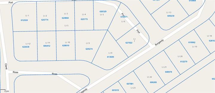 Property Photo:  Lot 20 Burgandy  TX 77871 