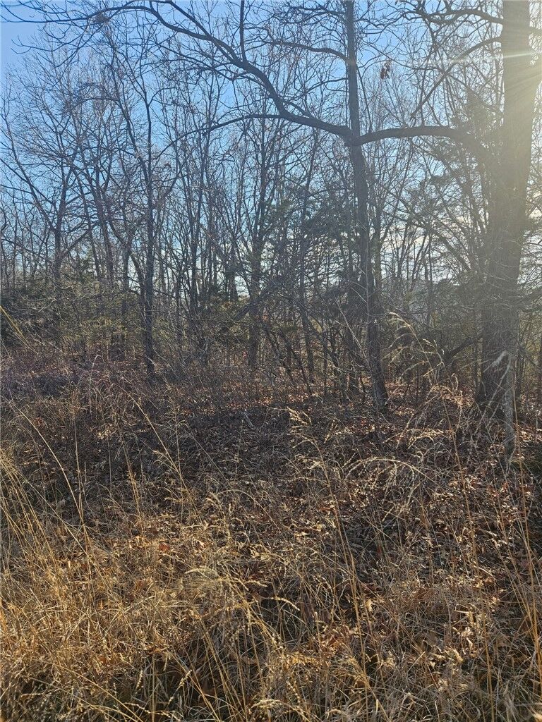 Property Photo:  Poley Trail  AR 72662 