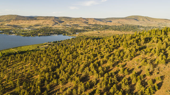 Property Photo: 823 Saddle Butte Drive OR 97601