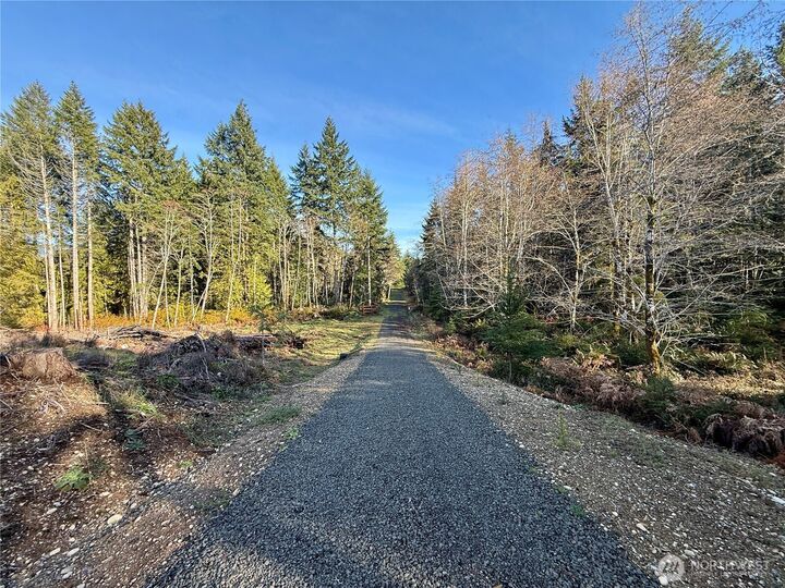 Property Photo: 255 E Solbakk Veien Road WA 98584