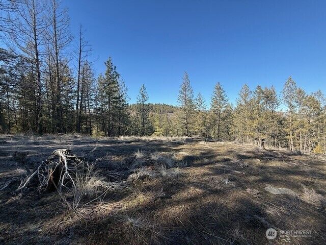 Property Photo: 171 Garrett WA 98855