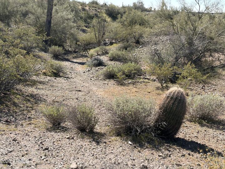 Property Photo:  42215 N 261st Avenue -  AZ 85342 