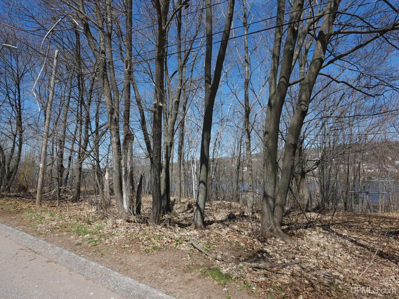 Property Photo:  Tbd 19 And 20 W Douglass Avenue  MI 49931 