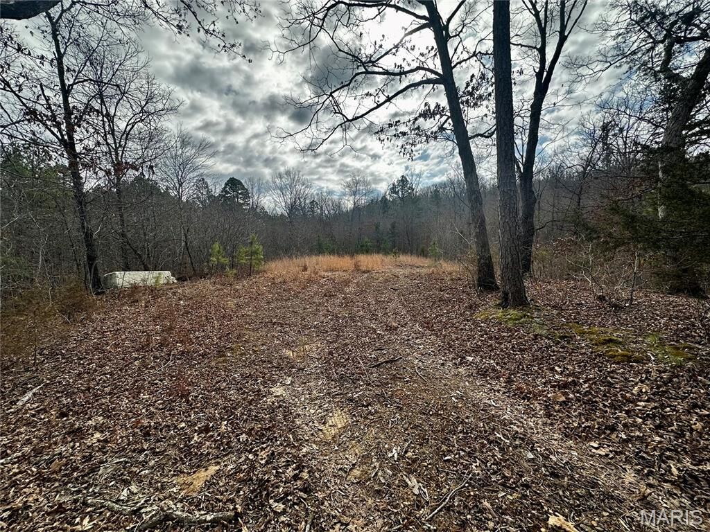 Property Photo: 1920 Lake Forest Drive MO 63601