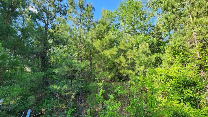 Property Photo:  297 White Oak Lane  TX 75904 