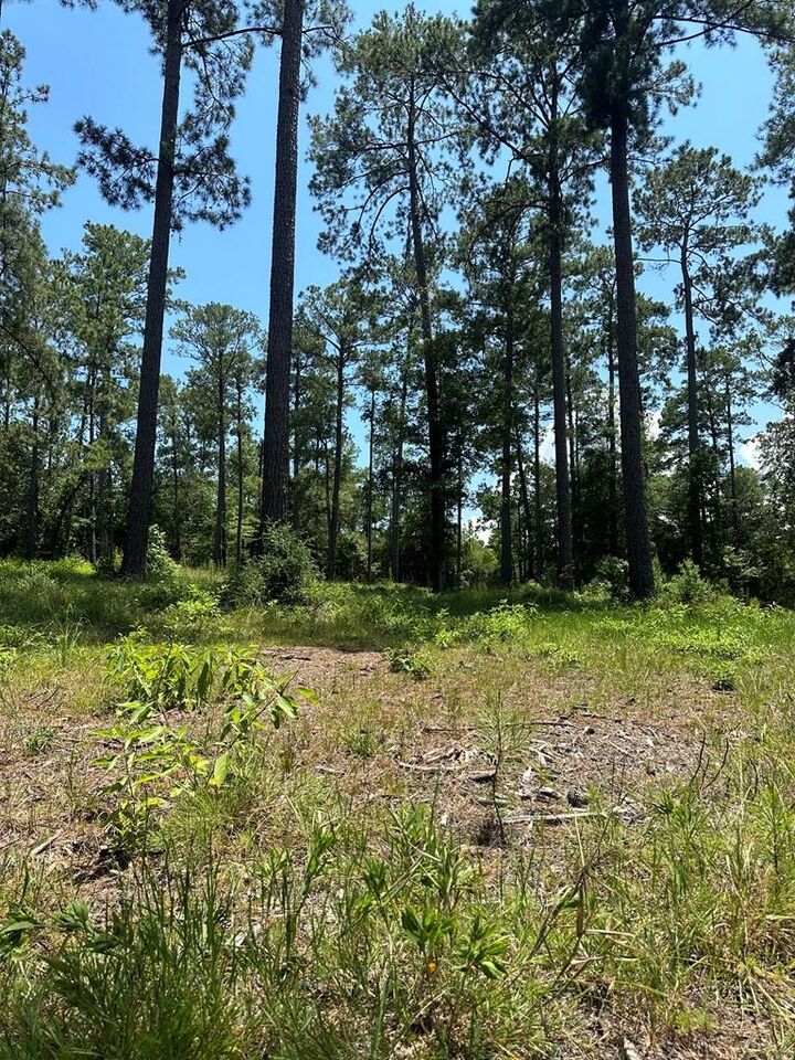 Property Photo:  Lot 2 Pr 6028  TX 75931 