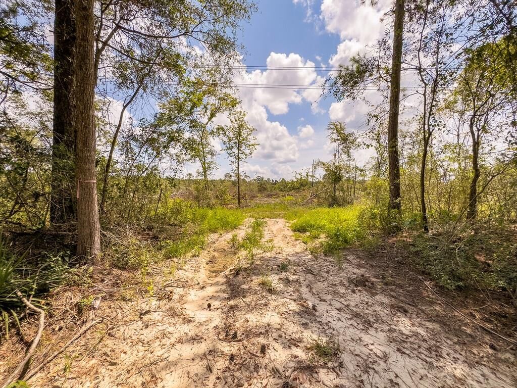 Property Photo:  R53358 Tract 1 Hwy 94  TX 75926 