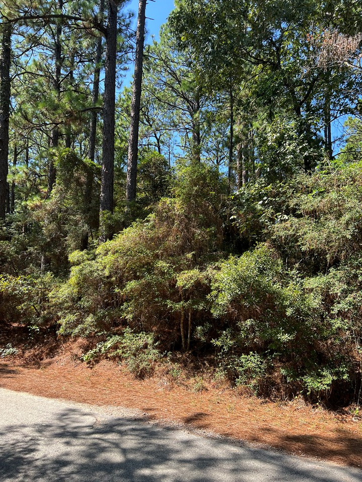 Property Photo:  420 Sparkleberry Drive  TX 75931 