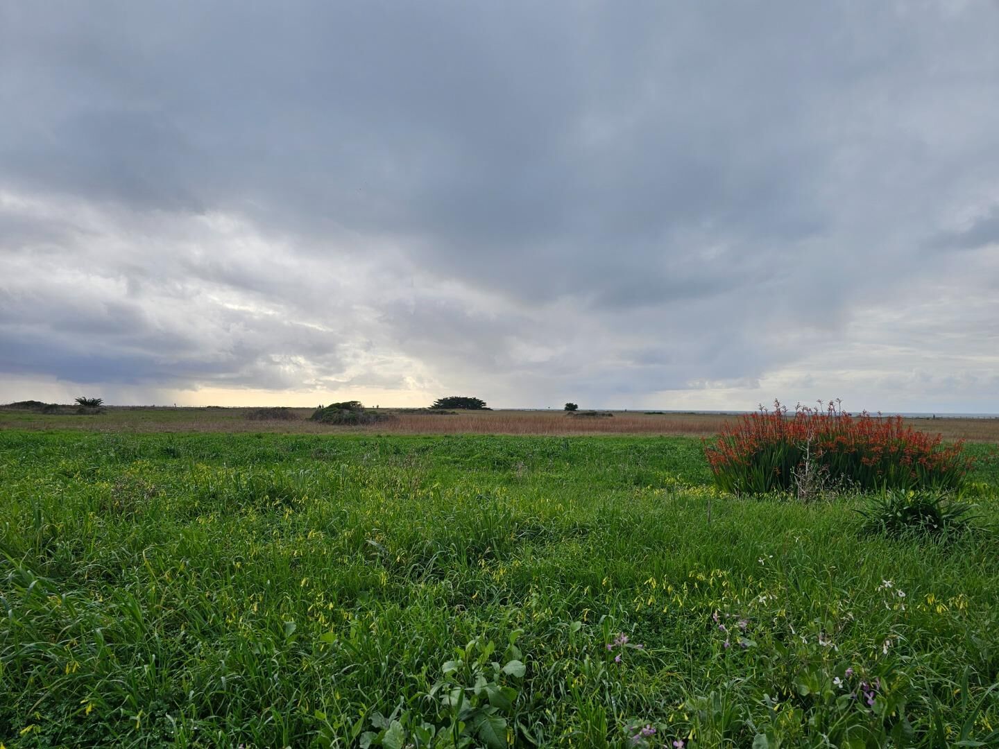 Property Photo:  0 Pacific Avenue  CA 94019 