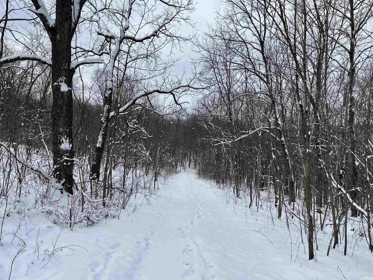 Property Photo:  79 Acres, Byers Rd  WI 53805 