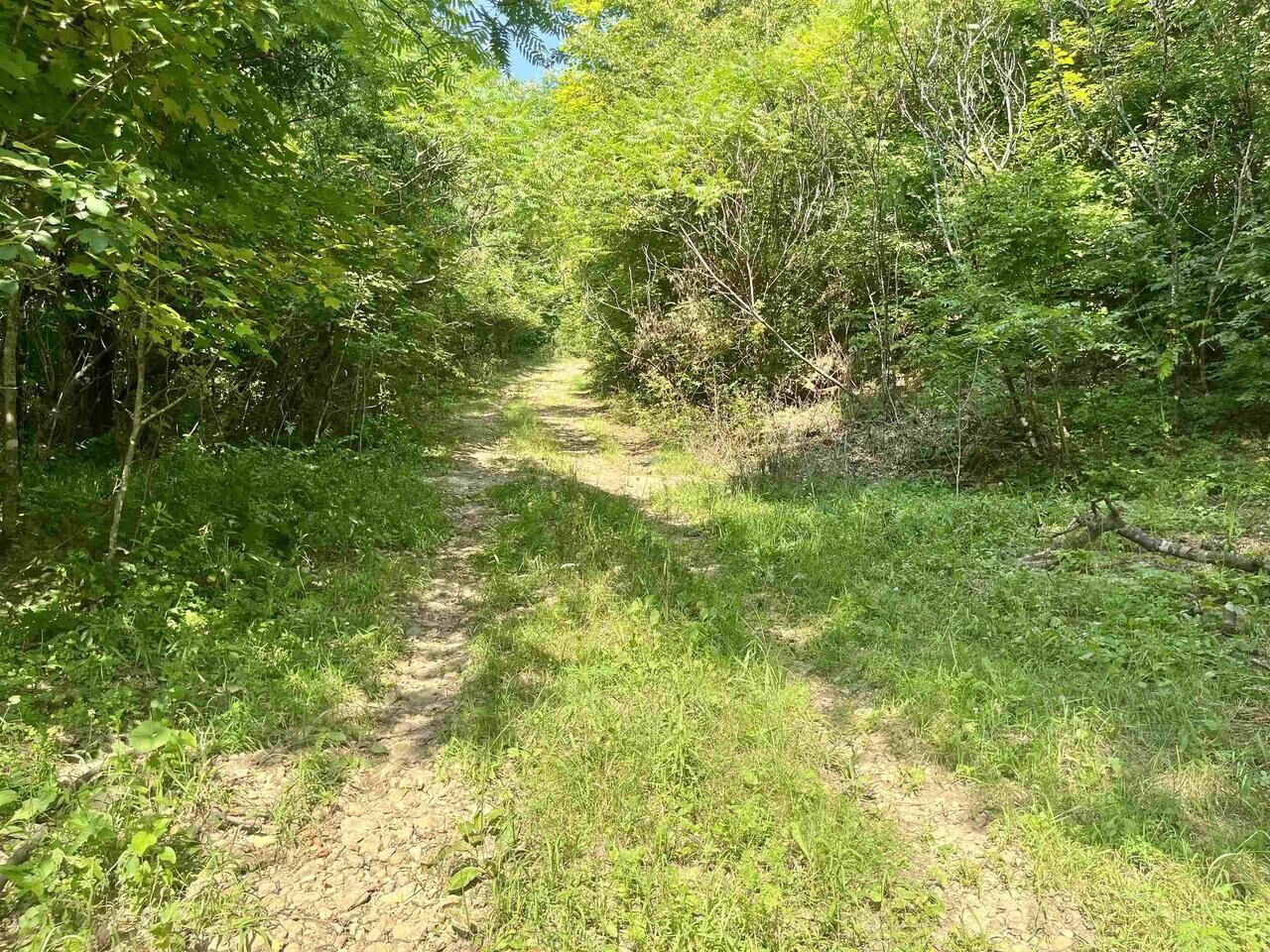 Property Photo: 79 Acres, Byers Rd WI 53805