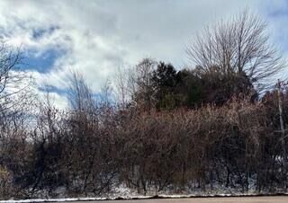 Property Photo: 0 State Route 37 NY 12953