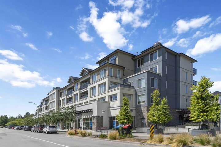 Property Photo: 20487 65 Avenue A413 BC V2Y 3K5