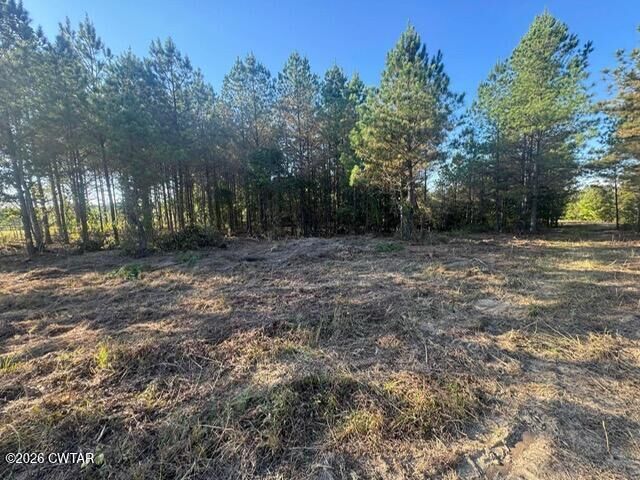 Property Photo:  0 Franks Road  TN 38380 