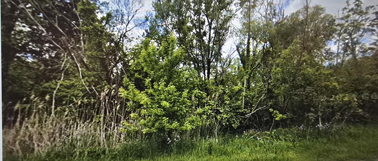 Property Photo:  1120 Lincoln Street  IN 46356 