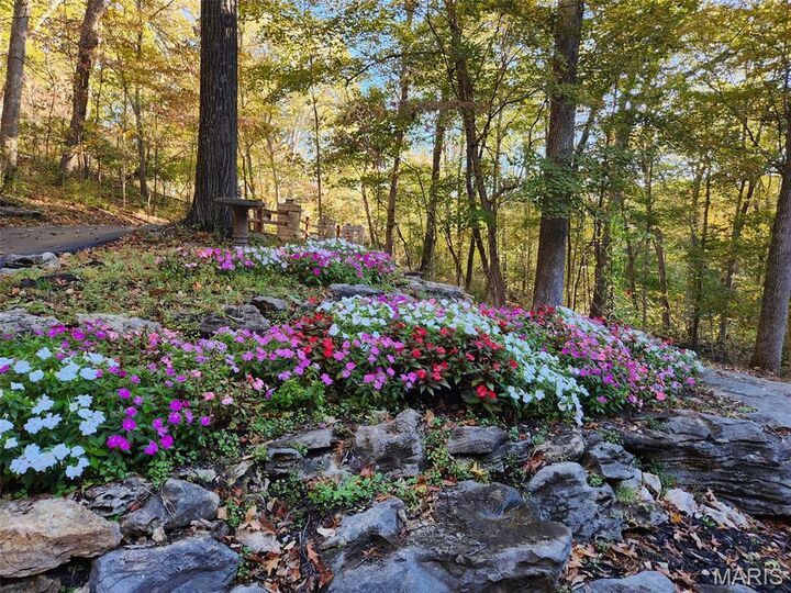 Property Photo:  832 Stone Bridge Springs Drive  MO 63005 